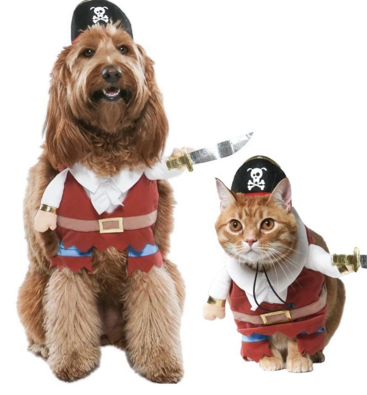 Vibrant Life Halloween Dog Costume and Cat Costume: Pirate, Size Medium