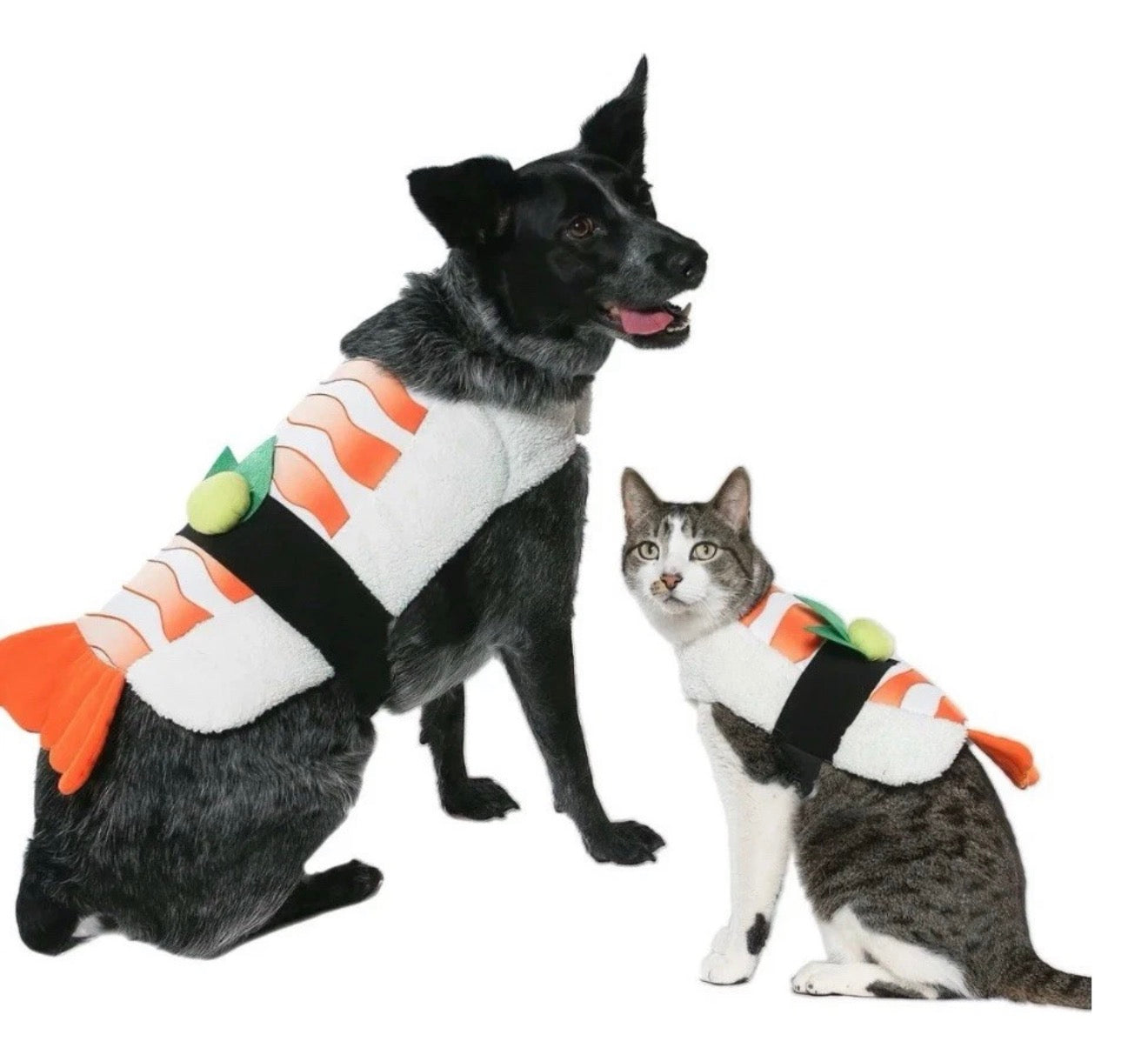 Vibrant Life Vl Hw Sushi Costume Xsmall