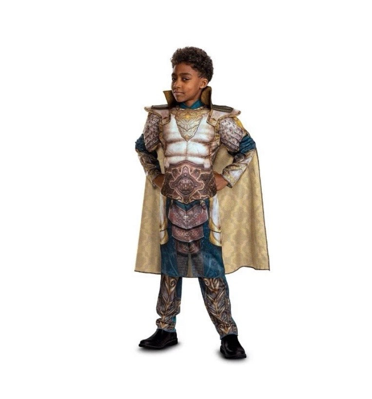 Boys M 8  Xenk the Paladin Dlx Muscle Halloween Child Costume Dungeons