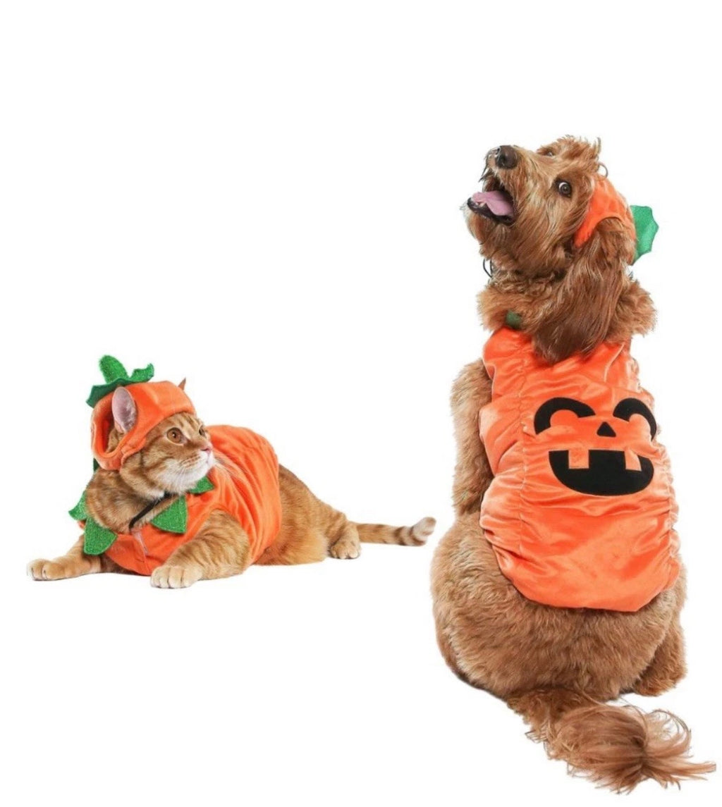 Vibrant Life Halloween Dog Costume and Cat Costume: Jack-O-Lantern, Size XS