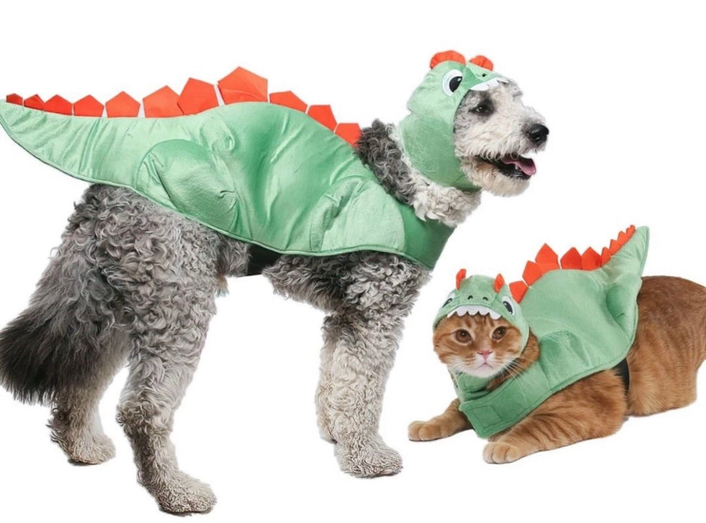 Vibrant Life Vl Hw Dinosaur Costume Small
