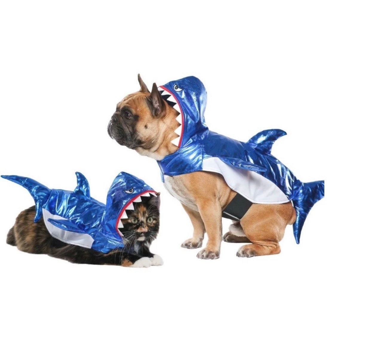 Vibrant Life Halloween Dog Costume: Shark, Size Medium