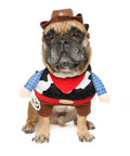 Vibrant Life Halloween Dog Costume and Cat Costume: Cowboy,Size small